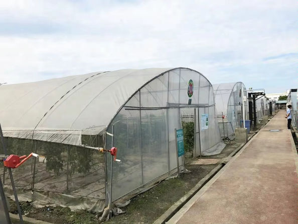 ম্যাট চার্লটন