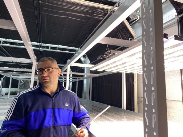 ব্রোডেরিক ভ্যানার্নাম