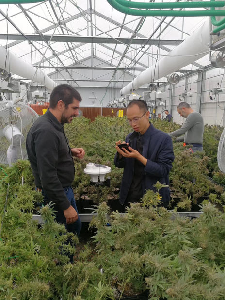 সিলভেস্টার নাইকেন