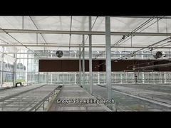 জালযুক্ত তারের গ্রিনহাউস গ্রো টেবিল বীজ বপন করার জন্য রোলিং বেঞ্চ