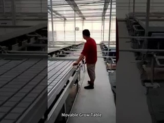সঞ্চালিত ইব এবং ফ্লো গ্রো টেবিল রোলিং বেঞ্চ