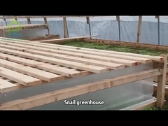 একটি ছোট শালার গ্রিনহাউস