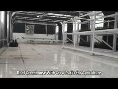 বাড়ির ছাদে গ্রীণহাউস