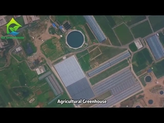 কৃষি বাণিজ্যিক গ্রিনহাউস প্রকল্প
