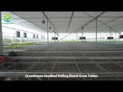 ওয়্যার জাল গ্রো টেবিল এবং ইব বন্যা রোলিং বেঞ্চ গ্রো টেবিল গ্রিনহাউস জন্য