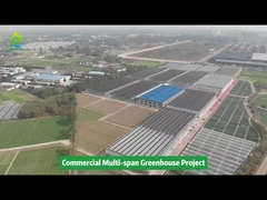 পলি প্লাস্টিক ফিল্ম টানেল মাল্টি-স্প্যান কৃষি উদ্ভিদ ক্রমবর্ধমান গ্রিনহাউস