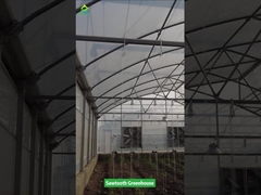 স টুথ ডিজাইন ট্রপিক্যাল প্লাস্টিক ফিল্ম গ্রিনহাউস