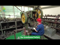 আইক্সিয়াং গ্রিনহাউস ফ্যাক্টরি