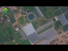 বড় কৃষি গ্রিনহাউস রোপণ বেস