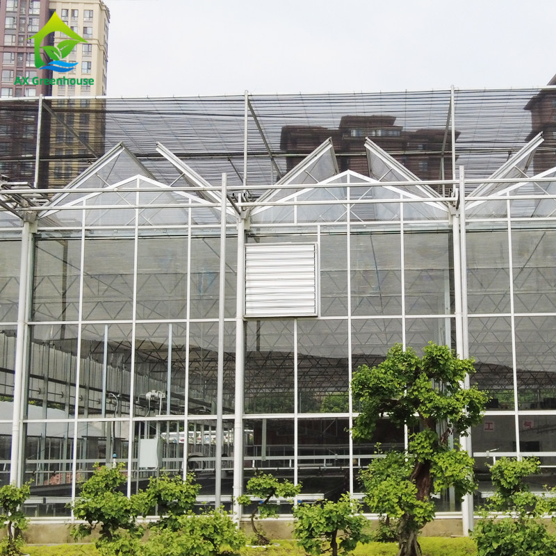 হট ডাম্প গ্যালভানাইজড স্টিল স্ট্রাকচার ত্রিভুজ ছাদ ছাঁচনির্মাণ 30 * 20m বাণিজ্যিক কাস্টমাইজড স্বয়ংক্রিয় গ্লাসহাউস ভেনলো গ্লাস গ্রিনহাউস