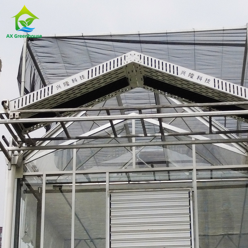 9.6m / 10.8m / 12m প্রস্থ অ্যালুমিনিয়াম খাদ ফ্রেম কৃষি গ্লাস ভেনলো মাল্টি-স্প্যান গ্রিনহাউস সঙ্গে ত্রিভুজ ছাদ ছাঁচনির্মাণ