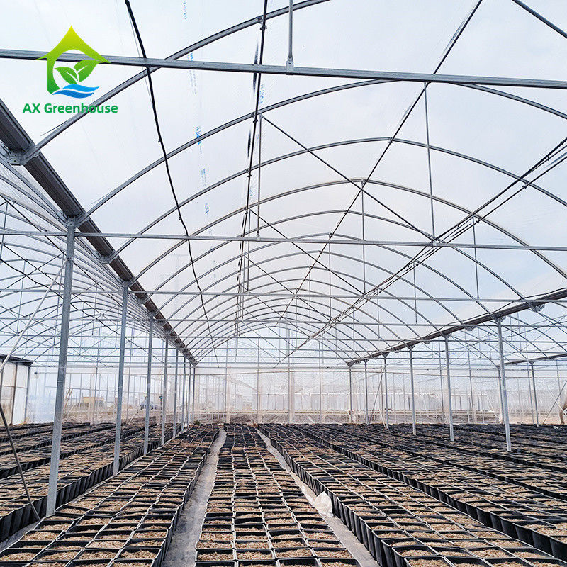মাল্টি স্প্যান ট্রপিকাল মেটাল ফ্রেম কাঠামো টমেটো পলি টানেল গ্রিনহাউস ফলমূল সবজি জন্য