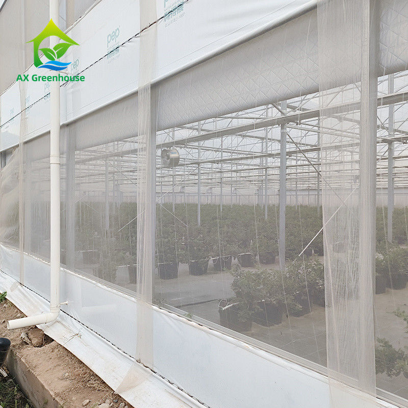 মাল্টি স্প্যান ট্রপিকাল মেটাল ফ্রেম কাঠামো টমেটো পলি টানেল গ্রিনহাউস ফলমূল সবজি জন্য