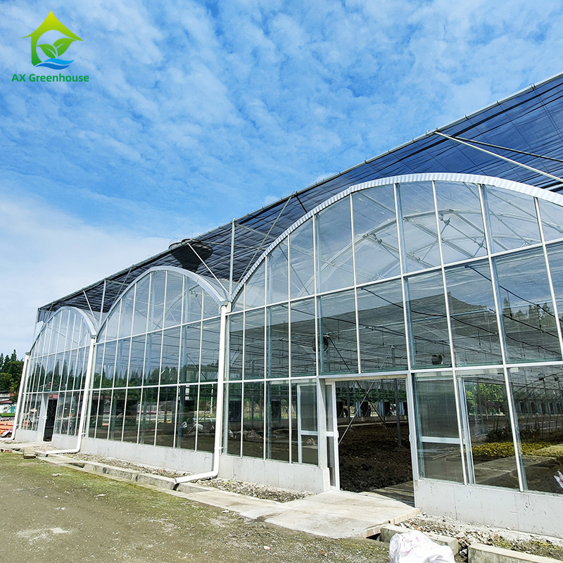 স্মার্ট কন্ট্রোল সিস্টেম সবজি জন্য টেকসই গ্রিনহাউস 9.6m/10.8m/12m প্রস্থ