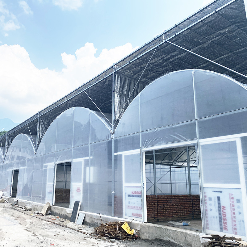 ইউভি প্রতিরোধী 30x10 মি প্লাস্টিকের ফিল্ম গ্রিনহাউস টমেটো এবং সবজি জন্য ফিল্ম কভার সঙ্গে