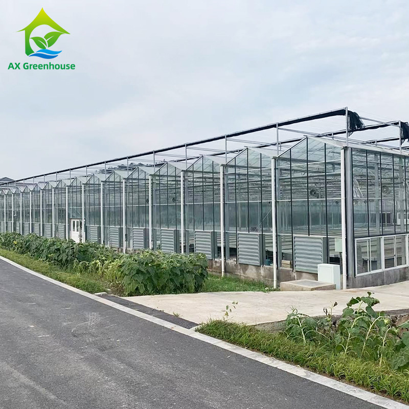 9.6m / 10.8m / 12m প্রস্থ অ্যালুমিনিয়াম খাদ ফ্রেম কৃষি গ্লাস ভেনলো মাল্টি-স্প্যান গ্রিনহাউস সঙ্গে ত্রিভুজ ছাদ ছাঁচনির্মাণ