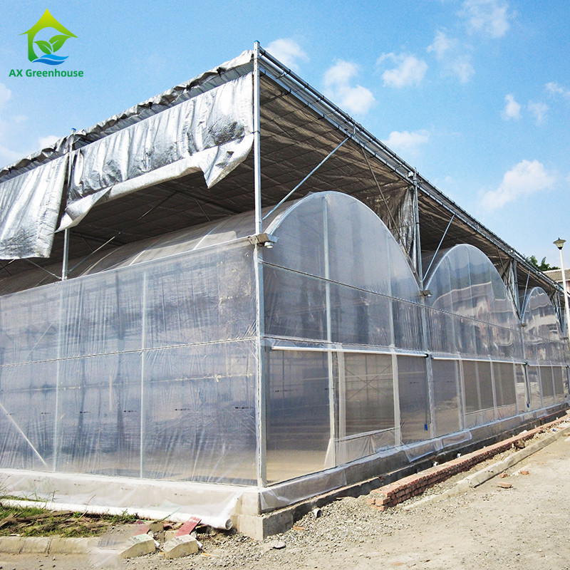 দীর্ঘস্থায়ী গরম ডুব গ্যালভানাইজড স্টিল মাল্টি-স্প্যান প্লাস্টিকের ফিল্ম ফলের জন্য কৃষি গ্রিনহাউস