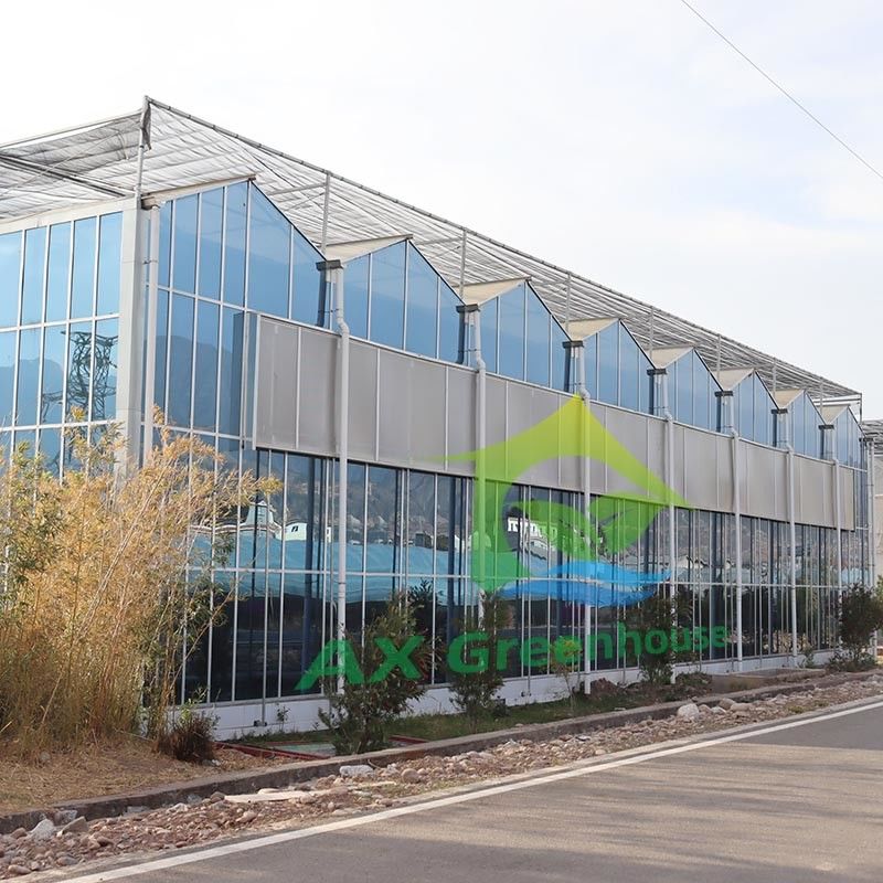 ভেন্টলো টাইপ এগ্রিকালচারাল গ্লাস গ্রিনহাউস টেম্পারড প্যানেল, শসা চাষের জন্য গ্যালভানাইজড স্টিল ফ্রেম