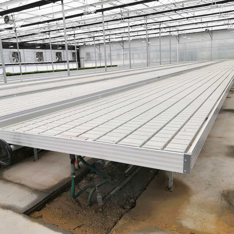 ইব এবং ফ্লো 4FT * 8FT উল্লম্ব হাইড্রপোনিক মুভযোগ্য রোলিং বেঞ্চ স্টল সহ গ্রো টেবিল