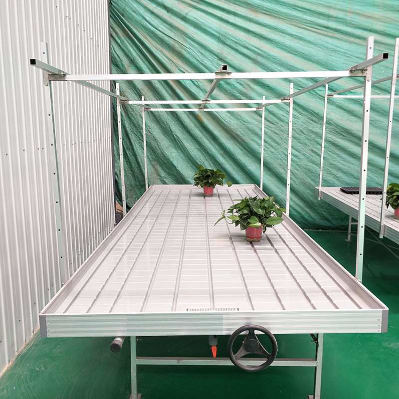 ইব এবং ফ্লো 4FT * 8FT উল্লম্ব হাইড্রপোনিক মুভযোগ্য রোলিং বেঞ্চ স্টল সহ গ্রো টেবিল
