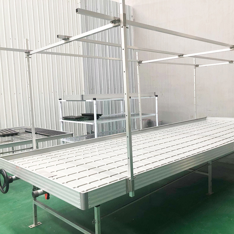 ইব এবং ফ্লো 4FT * 8FT উল্লম্ব হাইড্রপোনিক মুভযোগ্য রোলিং বেঞ্চ স্টল সহ গ্রো টেবিল