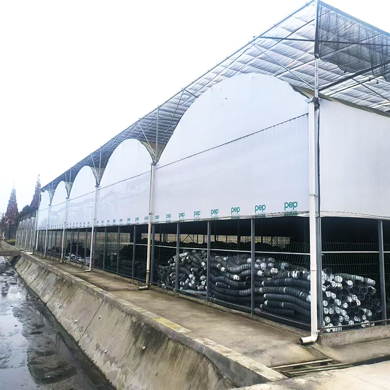 হট গ্যালভানাইজড স্টীল পাইপ নার্সারি মাল্টি-স্প্যান পান্ডা ফিল্ম ব্ল্যাকআউট সিস্টেম মাশরুম ট্রপিকাল গ্রিনহাউস