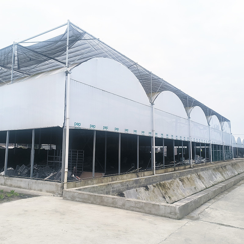 হট গ্যালভানাইজড স্টীল পাইপ নার্সারি মাল্টি-স্প্যান পান্ডা ফিল্ম ব্ল্যাকআউট সিস্টেম মাশরুম ট্রপিকাল গ্রিনহাউস