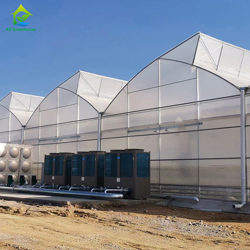প্লাস্টিকের ইউভি ফিল্ম পলি টানেল কৃষি Sawtooth Multi-span কাস্টম গ্রিনহাউস বিক্রয়ের জন্য