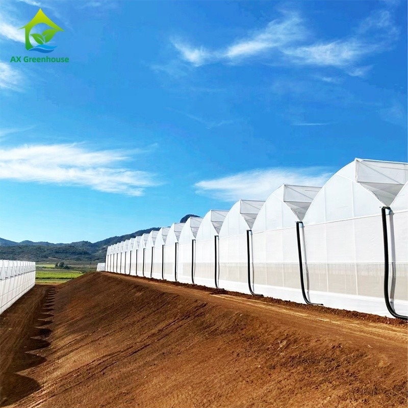 প্লাস্টিকের ইউভি ফিল্ম পলি টানেল কৃষি Sawtooth Multi-span কাস্টম গ্রিনহাউস বিক্রয়ের জন্য