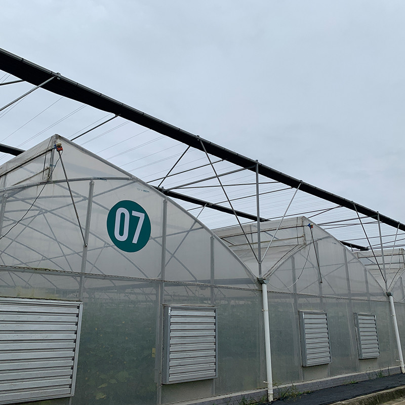 প্লাস্টিকের ইউভি ফিল্ম পলি টানেল কৃষি Sawtooth Multi-span কাস্টম গ্রিনহাউস বিক্রয়ের জন্য