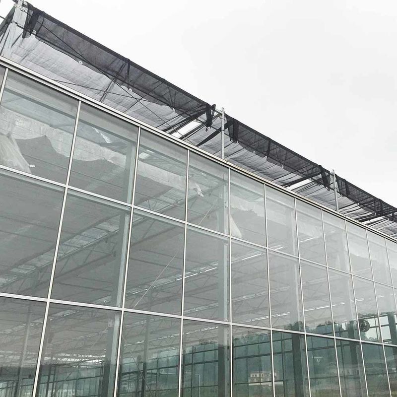 উদ্যানতত্ত্ব বিষয়ক বহু-স্প্যান কৃষি ফুল চাষ ভেনলো টাইপ বীজ বপন কাঁচের গ্রিনহাউস