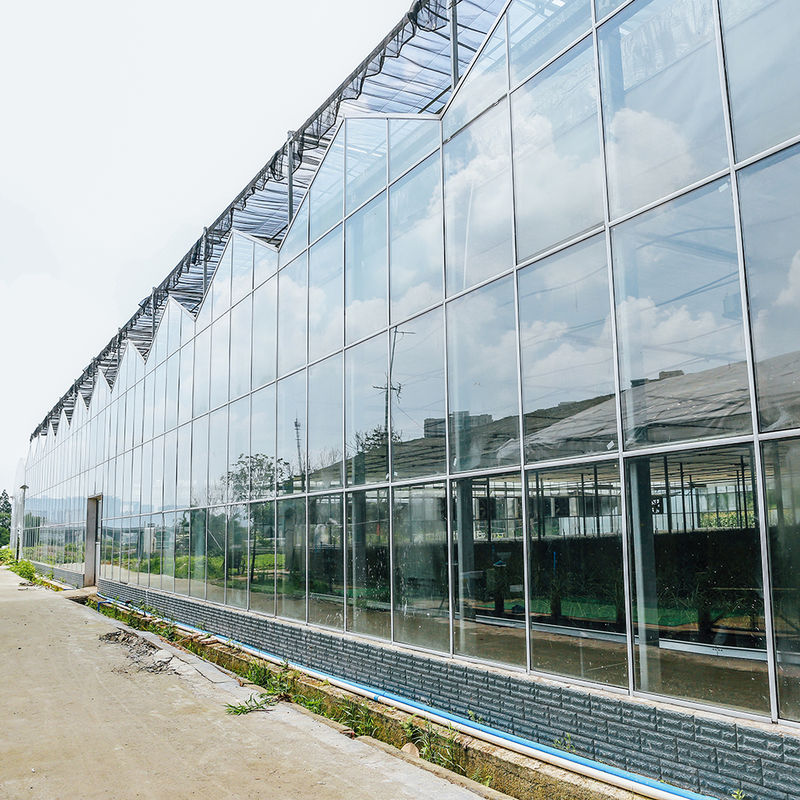 উদ্যানতত্ত্ব বিষয়ক বহু-স্প্যান কৃষি ফুল চাষ ভেনলো টাইপ বীজ বপন কাঁচের গ্রিনহাউস