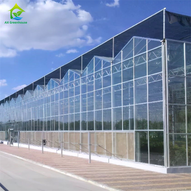 টেকসই গ্লাস পলিকার্বনেট গ্রিনহাউসে সবজি স্ট্রবেরি চাষের সরঞ্জাম - অল-ইন-ওয়ান গ্রিনহাউস কিট