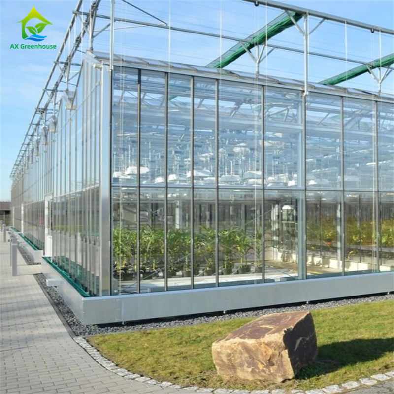 টেকসই গ্লাস পলিকার্বনেট গ্রিনহাউসে সবজি স্ট্রবেরি চাষের সরঞ্জাম - অল-ইন-ওয়ান গ্রিনহাউস কিট
