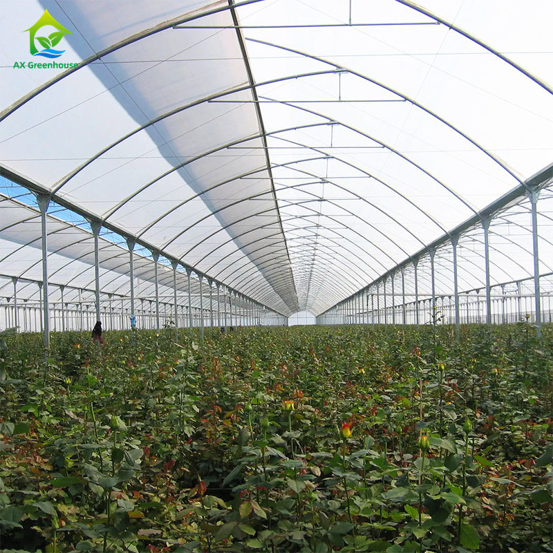 পাতাযুক্ত সবজি,ডোমেটা,মাকড়সা,পিঁপড়া,মাকড়সা,স্ট্রবেরি,জলমুগার চাষের জন্য বড় মাল্টি-স্পেন্স ফিল্ম গ্রিনহাউস