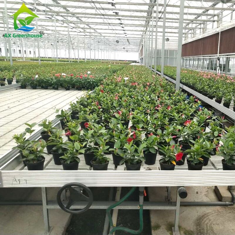 Commercial Aluminum Frame Ebb & Flow Bench with Adjustable Height and Integrated PP/ABS Tray for Greenhouses
