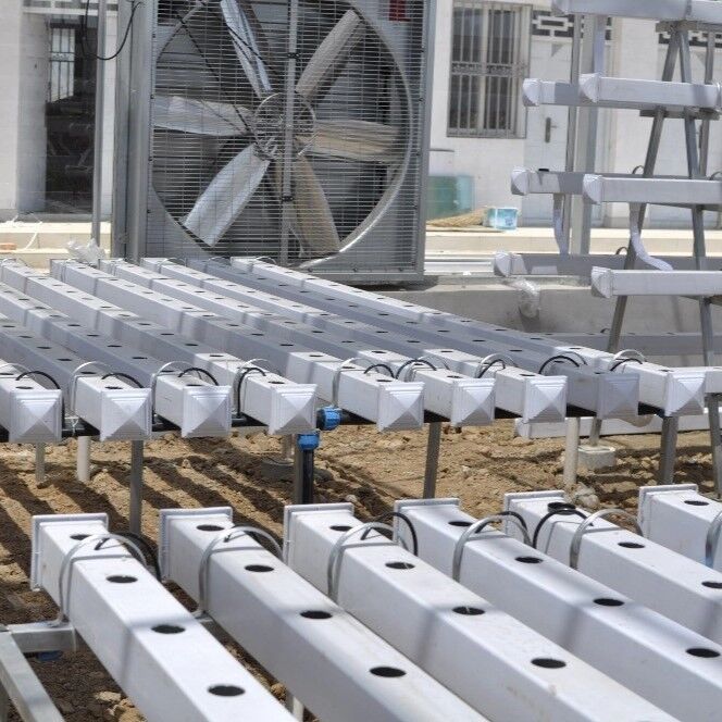 বাণিজ্যিক গ্রিনহাউসের জন্য UV ইনহিবিটর এবং কাস্টমাইজযোগ্য মাত্রা সহ ফুড-গ্রেড পিভিসি এনএফটি হাইড্রোপনিক গালি সিস্টেম