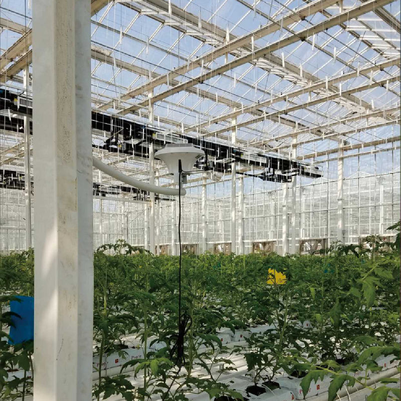 সর্বোত্তম জলবায়ু নিয়ন্ত্রণের জন্য AC220V পাওয়ার এবং 0~50000 PPM CO2 ঘনত্ব মিটার সহ বুদ্ধিমান গ্রিনহাউস মনিটরিং সিস্টেম