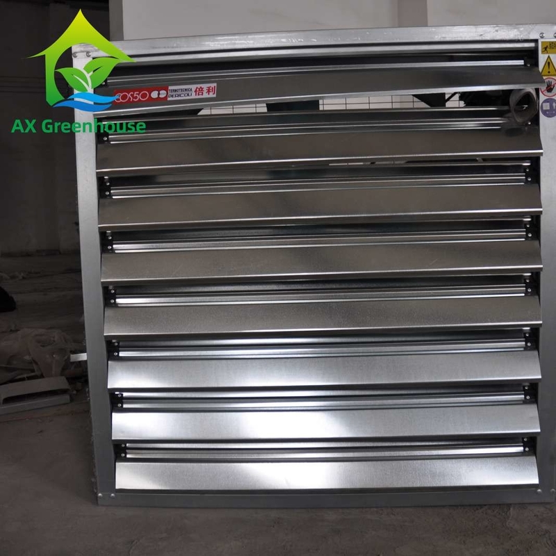 Dia 500-1250mm ব্লেড ওয়েট ওয়াল এক্সহস্ট ফ্যান ইন্ডাস্ট্রিয়াল ওয়াল মাউন্ট করা এক্সট্র্যাক্টর ফ্যান