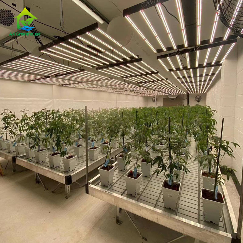 কাস্টমাইজযোগ্য আকারে ABS প্লাস্টিক শীট এবং অ্যালুমিনিয়াম খাদ ফ্রেম সহ স্থিতিশীল পরিবেশ বান্ধব গ্রিনহাউস রোলিং বেঞ্চ