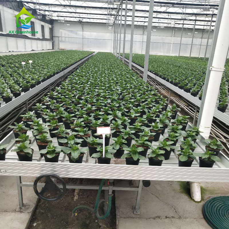 কাস্টমাইজযোগ্য আকারে ABS প্লাস্টিক শীট এবং অ্যালুমিনিয়াম খাদ ফ্রেম সহ স্থিতিশীল পরিবেশ বান্ধব গ্রিনহাউস রোলিং বেঞ্চ