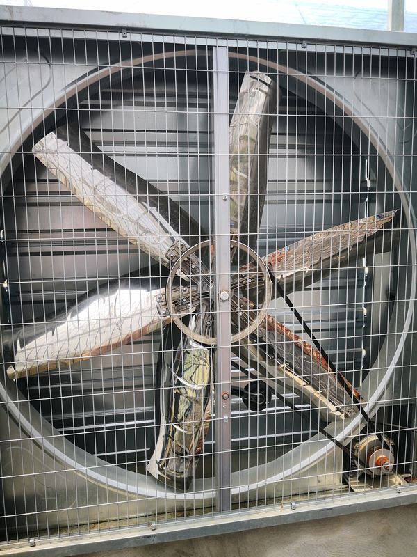 শিল্প গ্রেড অ্যালুমিনিয়াম গ্রিনহাউস নিষ্কাশন ফ্যান আর্দ্র বাষ্পীভবন শীতলকরণের জন্য ক্ষয় প্রতিরোধী